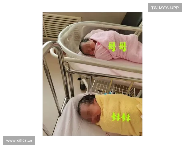 2025年3月31日意甲拉齐奥VS都灵综合分析 2025年3月31日意甲拉齐奥VS都灵综合分析